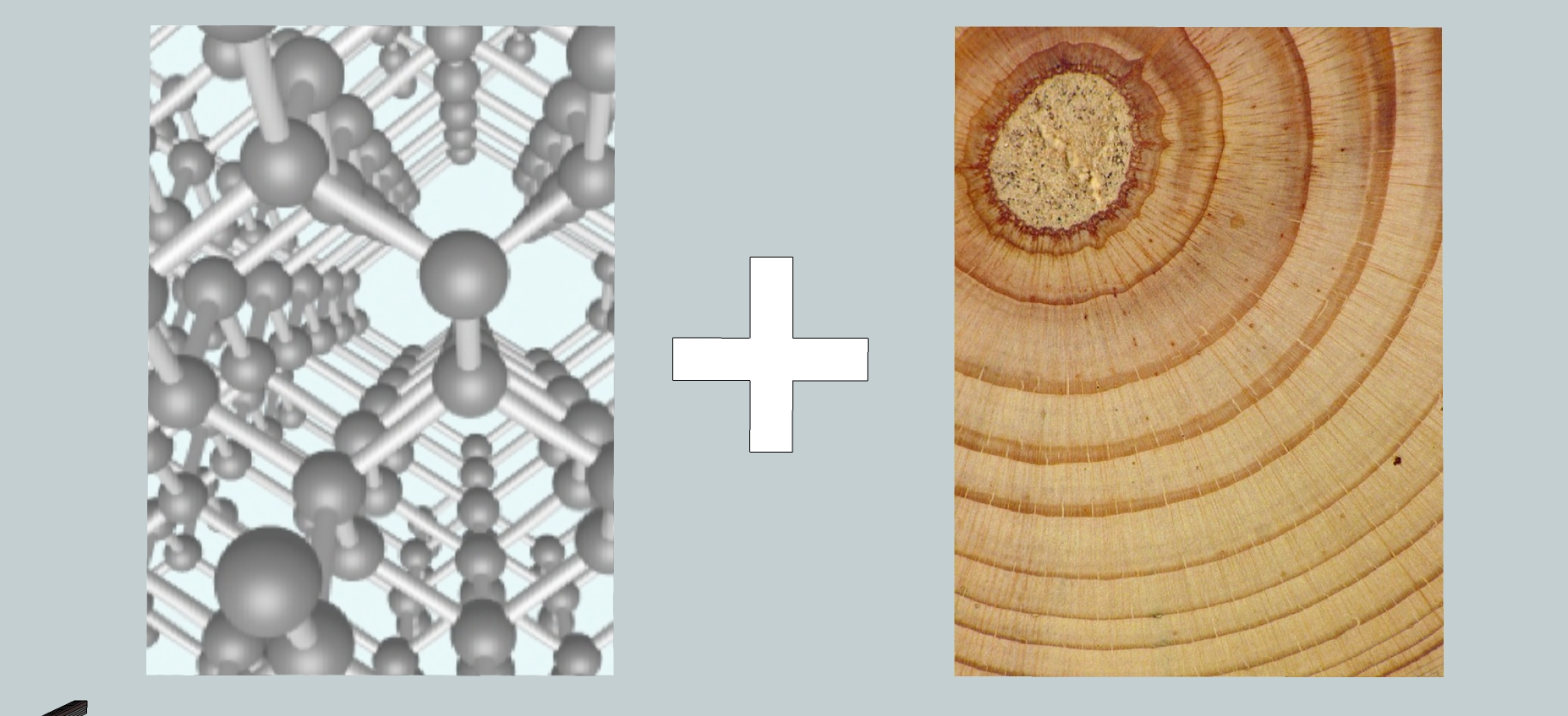 Structuur en Jaarringen